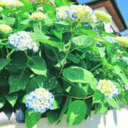 ヒメ日記 2026/05/21 06:05 投稿 ここみ プロローグ-序章-浜松店