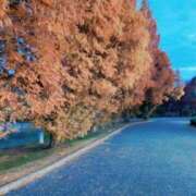 ヒメ日記 2025/12/06 18:32 投稿 ちか 西船人妻花壇