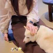 ヒメ日記 2025/12/19 16:43 投稿 はるき スパーク梅田店