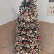 ヒメ日記 2025/12/07 13:41 投稿 みつは 奥様特急長岡店