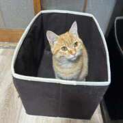 ヒメ日記 2025/11/22 10:10 投稿 みお ドMな団地妻 名古屋・池下店