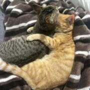 ヒメ日記 2026/03/08 09:55 投稿 みお ドMな団地妻 名古屋・池下店