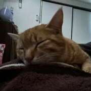 ヒメ日記 2026/03/20 10:35 投稿 みお ドMな団地妻 名古屋・池下店