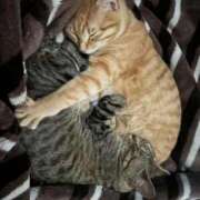 ヒメ日記 2026/08/09 10:43 投稿 みお ドMな団地妻 名古屋・池下店