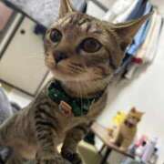 ヒメ日記 2026/08/13 19:05 投稿 みお ドMな団地妻 名古屋・池下店