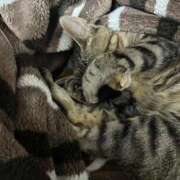 ヒメ日記 2026/08/16 19:05 投稿 みお ドMな団地妻 名古屋・池下店
