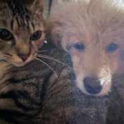 ヒメ日記 2026/09/24 10:26 投稿 みお ドMな団地妻 名古屋・池下店