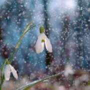 ヒメ日記 2026/04/04 20:57 投稿 ここな 静岡人妻援護会