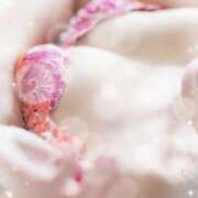 ヒメ日記 2026/01/24 18:51 投稿 常盤 りん こあくまな熟女たち 金沢店(KOAKUMAグループ)