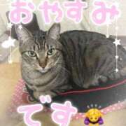 ヒメ日記 2025/11/30 10:02 投稿 中原きい しこたま奥様 横浜店