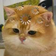 岡野 めぐ 🙇🏻‍♀️💦 カサノヴァ