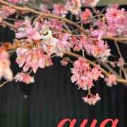 ヒメ日記 2026/01/17 19:25 投稿 あや 池袋夢幻