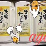 ヒメ日記 2026/01/26 19:07 投稿 あや 池袋夢幻