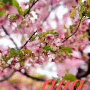 ヒメ日記 2026/02/26 15:15 投稿 あや 池袋夢幻