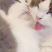 真田 柚花 おっぴろげ〜 マダム麗奈大阪