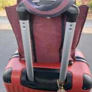 ヒメ日記 2025/11/21 11:14 投稿 こだま 即アポ奥さん～浜松店～