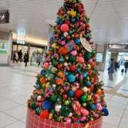 ヒメ日記 2025/11/21 13:34 投稿 こだま 即アポ奥さん～浜松店～