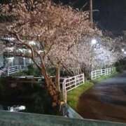 ヒメ日記 2026/04/05 22:54 投稿 こだま 即アポ奥さん～浜松店～