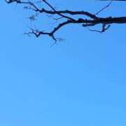 ヒメ日記 2026/04/08 11:04 投稿 こだま 即アポ奥さん～浜松店～