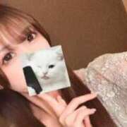 ヒメ日記 2026/08/19 09:50 投稿 あいか・SP アニバーサリー
