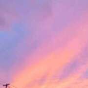 ヒメ日記 2025/11/19 17:00 投稿 ひなた アラモード