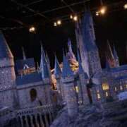 ヒメ日記 2025/11/26 10:41 投稿 ひなた アラモード