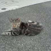 ヒメ日記 2025/11/26 16:30 投稿 ひなた アラモード