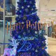 ひなた [お題]from:キキさん アラモード