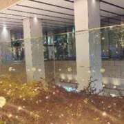 ヒメ日記 2025/12/09 14:35 投稿 ひなた アラモード