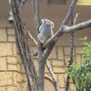 ヒメ日記 2025/12/13 22:06 投稿 ひなた アラモード