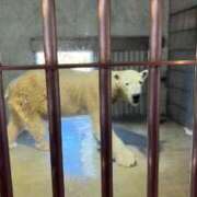 ヒメ日記 2025/12/15 09:38 投稿 ひなた アラモード