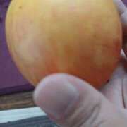 ヒメ日記 2025/11/18 23:19 投稿 こだま 即アポ奥さん～静岡店～