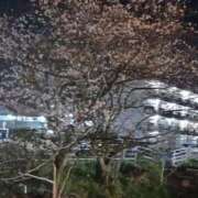 ヒメ日記 2026/04/10 15:59 投稿 こだま 即アポ奥さん～静岡店～