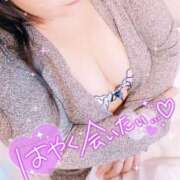 ヒメ日記 2025/11/20 12:58 投稿 あきら 丸妻 池袋店