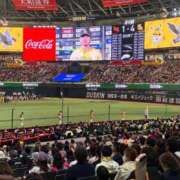 ヒメ日記 2026/05/02 15:50 投稿 七瀬りりか★ elumo(エルモ)