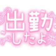 ヒメ日記 2025/11/21 14:56 投稿 せな 三浦屋別館