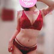 ヒメ日記 2025/12/29 23:27 投稿 夜神　いおり プルプル京都性感エステ　はんなり