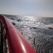 ヒメ日記 2026/01/16 08:30 投稿 あきほ もしも素敵な妻が指輪をはずしたら・・・