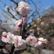 ヒメ日記 2026/03/12 11:50 投稿 あきほ もしも素敵な妻が指輪をはずしたら・・・