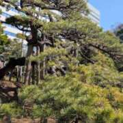 ヒメ日記 2026/03/13 08:50 投稿 あきほ もしも素敵な妻が指輪をはずしたら・・・