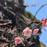 ヒメ日記 2026/03/17 13:20 投稿 あきほ もしも素敵な妻が指輪をはずしたら・・・