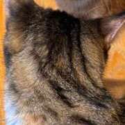 ヒメ日記 2026/02/02 11:25 投稿 まこと 大宮ウィング