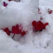 ヒメ日記 2026/02/08 12:45 投稿 まこと 大宮ウィング