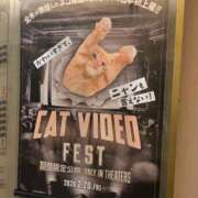 ヒメ日記 2026/03/06 12:41 投稿 まこと 大宮ウィング