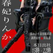 ヒメ日記 2025/12/13 09:30 投稿 春妃りんか＠フェチを愛する人 アナラードライ