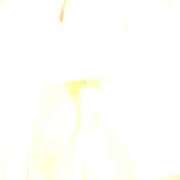 ヒメ日記 2026/04/10 22:14 投稿 ちずる 五反田痴女性感フェチ倶楽部