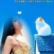 ヒメ日記 2026/07/20 09:33 投稿 ちずる 五反田痴女性感フェチ倶楽部