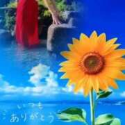 ヒメ日記 2026/07/29 08:23 投稿 ちずる 五反田痴女性感フェチ倶楽部