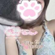 ヒメ日記 2025/11/27 17:11 投稿 つばき サティアンまーと