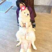 ちはる ホラーいける？ KINDAN-禁断-